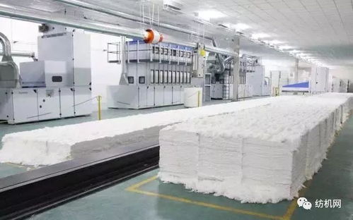 新疆富丽震纶 200万锭纺纱项目一期全面投产,年产纱线17.5万吨